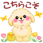 かわいいトイプードル❤️思いやり言葉