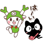 ふっかちゃん×かたこ