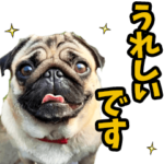 リアル☆わんこ（敬語）     改良