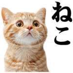 猫なら間違いない☆