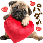 だいすき♡パグちゃん