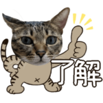 猫のすたんぷ。。。7