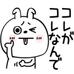 ピタうさぎシンプル虚言癖