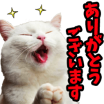 リアル☆にゃんこ（敬語）