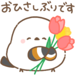 ⚫︎⚫︎くっきり＊シマエナガさん1⚫︎⚫︎