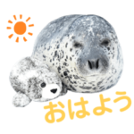 アザラシシーパラダイス