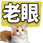 老眼でも見えるデカ文字にゃんこ