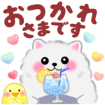 ポメラニアンぽちゃん「初夏」