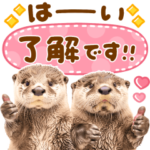 かわいい♡かわうそ