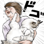 意外と使える猫好きおばさん