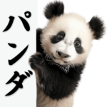 パンダの日常BIG