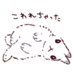 うさぎ、ふわふわのいのち2