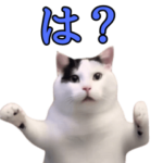 動く！踊る猫ミーム！