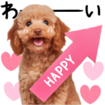 トイプードル♡敬語