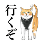 元野良猫チャチャのイラスト