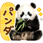 まったり♡ぱんだ