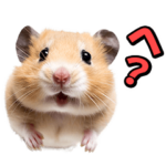 リアル⭐️可愛いハムスター