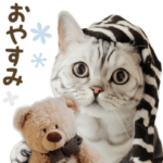 かわいいアメショ