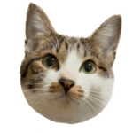 うずめの毎日２