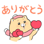 泣きむし猫のキィちゃん×LINE NEWS Select