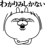 激しく動く！顔芸うさぎ11