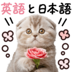 英語と日本語♡ねこさん