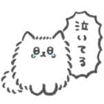 状況説明しまくるポメラニアン