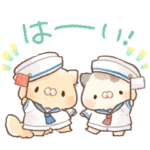 となりのにゃんこ　summer2024