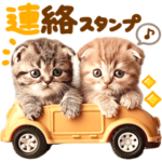 今何してる？にゃんこ