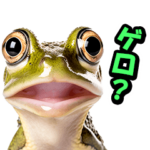 リアル★カエル