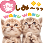 飛び出す♡かわいいにゃんこ