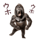 踊る！ダンスゴリラ