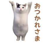 動く！躍る猫ミーム