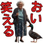 おい、笑える。カモは可愛い