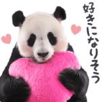 実写！やる気のないパンダ