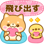 飛び出す♡毎日連絡♡豆柴日和
