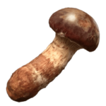 飛び出す！AI松茸/まつたけ/マツタケ