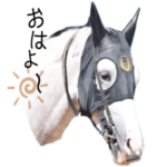 ゴルティ＆マーティンの馬主ライフ第2弾