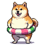 夏を迎えるふとっちょ柴犬