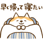 柴ちん10 社会の柴犬