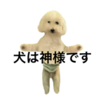 態度がお前の器よりでかい犬