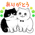 ツレ猫 マルルとハチ