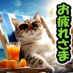 リアル⭐猫の夏休み