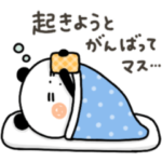 ちょこっと敬語のゆるパンダ