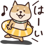 しばいぬ♡ゆるい夏