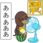 新・激しく尻尾をふるイヌ 