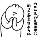 一生口が悪いゆるうさ