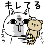 じろりねこ今なにしてる？