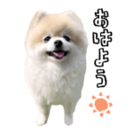 しあわせのたれめ