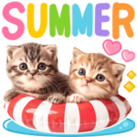 飛び出す♡夏にゃんこ